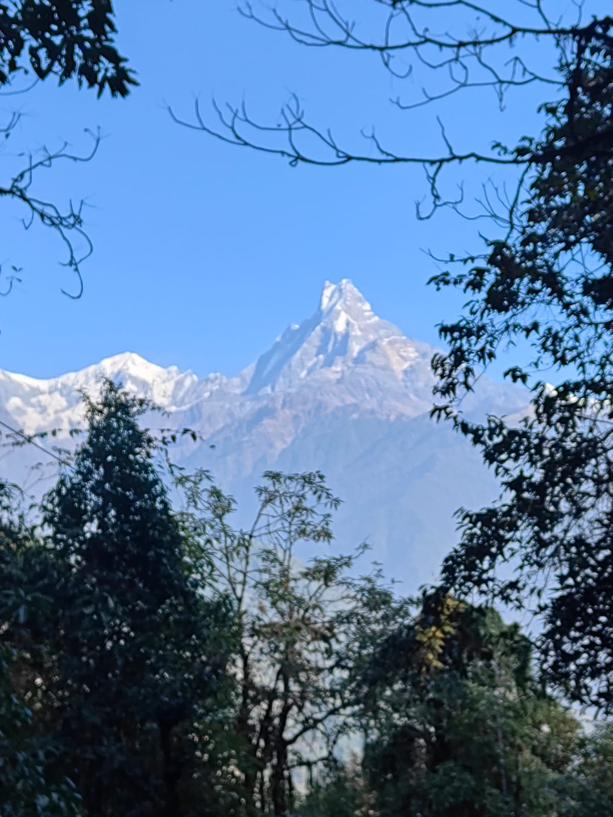 Ghorepani Poon Hill Trekking Gallery Image 2